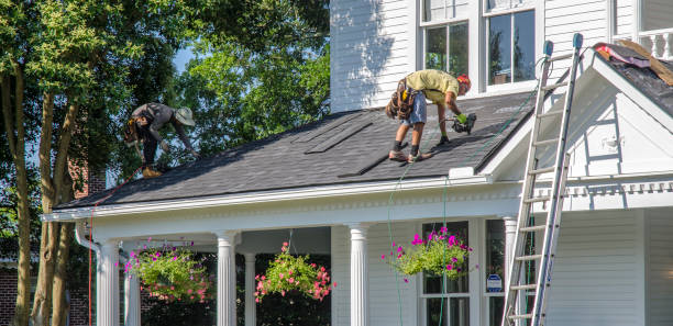 Roof Gutter Cleaning in Pecan Plantation, TX